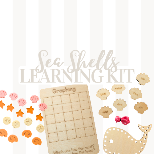 Sea Shells Learning Kit