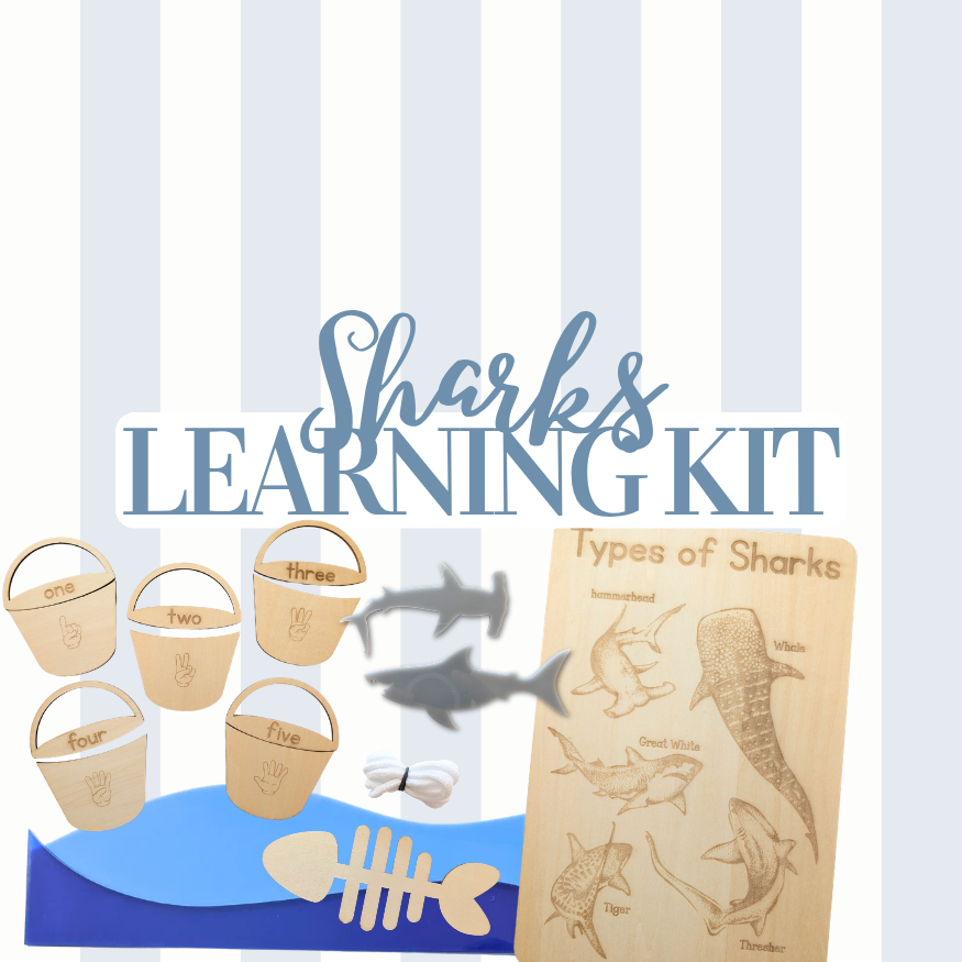 Sharks Learning Kit