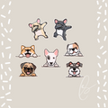 Dog Dab Patches