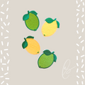 Lemon & Lime Patches