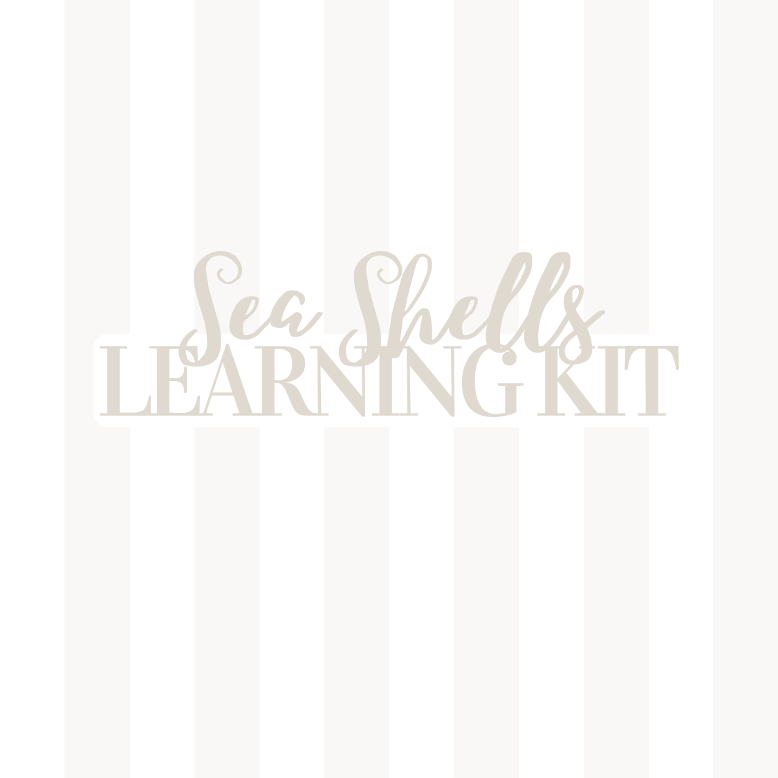 Sea Shells Learning Kit