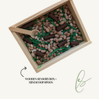 Slugs + Bugs Sensory Set