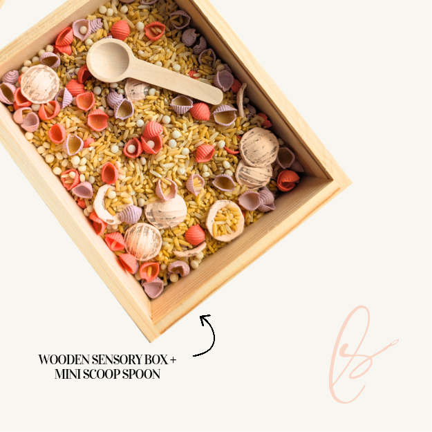 Sand & Shells Sensory Set