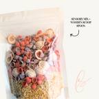 Sand & Shells Sensory Set