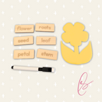 Flower Parts Skills Game