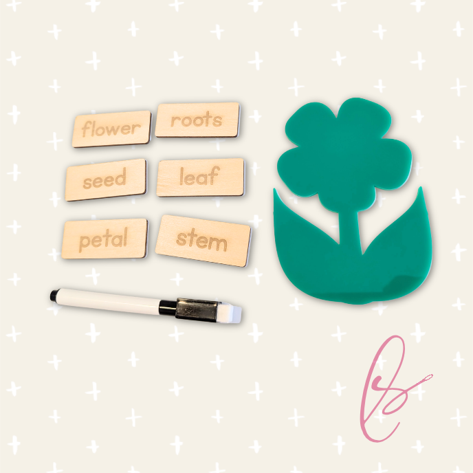 Flower Parts Skills Game