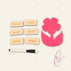 Flower Parts Skills Game