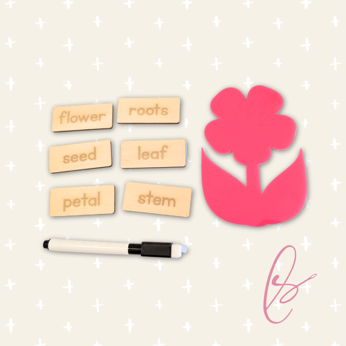 Flower Parts Skills Game