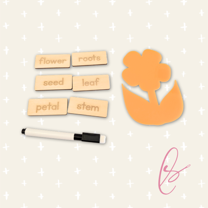 Flower Parts Skills Game