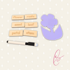 Flower Parts Skills Game