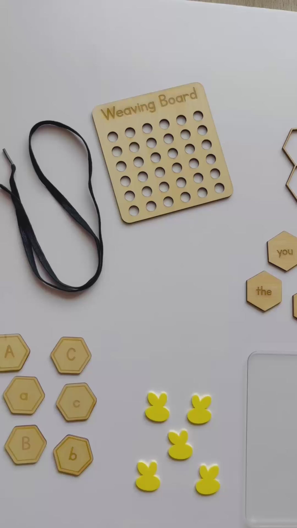 Bumblebee Learning Kit